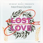 cover: Meinfried Zander - Lost Love