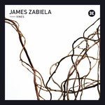 cover: James Zabiela - Vines