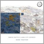 cover: Dario D'attis|Luna City Express - Work Together EP