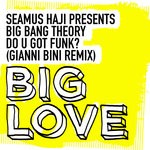 cover: Big Bang Theory|Seamus Haji - Do U Got Funk? (Gianni Bini Remix)