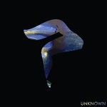 cover: Guido - Unknown