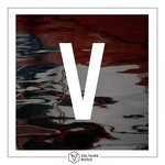 cover: Amount|Florian Kruse|Hannes Bieger|Hendrik Burkhard|Marc Romboy|Petar Dundov|Sascha Dive - Voltaire Music Presents V