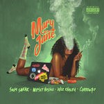 cover: Sam Sneak - Mary Jane