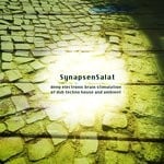 cover: Various - SynapsenSalat (Deep Electronic Brain Stimulation Of Dub Techno House & Ambient)