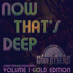 cover: The Godfathers Of Deep House Sa - Now That's Deep Vol 1 (Gold Edition)