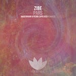 cover: Zibe - Pars