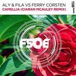 cover: Aly & Fila|Ferry Corsten - Camellia