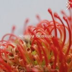 cover: Singular Anomalies - Heuristic