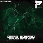 cover: Dario Sorano - Capturing System State