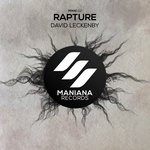 cover: Dave Leck - Rapture