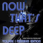 cover: The Godfathers Of Deep House Sa - Now That's Deep Vol 1 (Premium Edition)