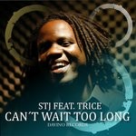 cover: Stj|Trice - Can't Wait Too Long