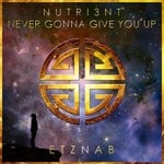 cover: Nutri3nt - Never Gonna Give You Up