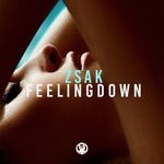 cover: Zsak - Feeling Down