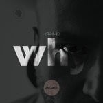 cover: Fabio Genito - Why