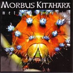 cover: Morbus Kitahara - Metamorphosis