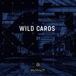 cover: Berlanga|Duss|Federico Naccari And Dubstone|Luca Gaeta|Murahni|Noraj Cue - Wild Cards 01