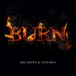 cover: Big Shenn & Stefario - Burn