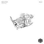 cover: Bolster - Desolation