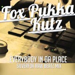 cover: Silverfox - Everybody In Da Place