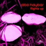 cover: Aldo Haydar - Flights Up