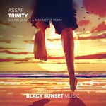 cover: Assaf - Trinity