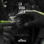 cover: Elastique Soul - La Vida Loca