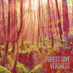 cover: Vershest - Forest Dive