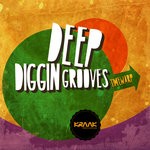 cover: Timewarp - Deep Diggin Grooves