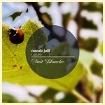 cover: Navab Jalil - Nature