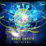 cover: Sonic Entity - In-Vitro