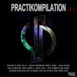 cover: Various - Practikompilation Vol 2