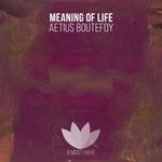 cover: Aetius Boutefoy - Meaning Of Life