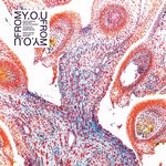 cover: From - You