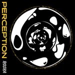 cover: Roska - Perception