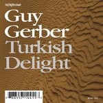 cover: Guy Gerber - Turkish Delight