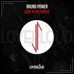 cover: Bruno Power - Light In The Forest