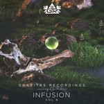 cover: Various - Infusion Vol 6