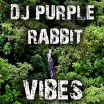 cover: Dj Purple Rabbit - Vibes