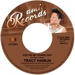 cover: Tracy Hamlin - You're My Sunny Day