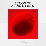 cover: The Wombats - Lemon To A Knife Fight