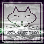 cover: Various - Jazz & Nujazz Tunes Vol 5