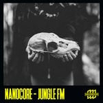 cover: Nanocore - Jungle Fm