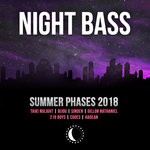 cover: 219 Boys|Codes|Dillon Nathaniel|Sinden|Hadean|Bijou|Taiki Nulight - Summer Phases 2018 (Explicit)