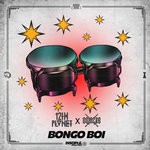 cover: 12th Planet - Bongo Boi