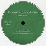 cover: Vedeneev & Cosmic Shaman - Ocean Of Love