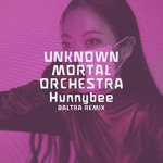 cover: Unknown Mortal Orchestra - Hunnybee