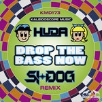 cover: Huda Hudia - Drop The Bass Now