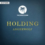 cover: Angerwolf - Holding