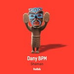 cover: Dany Bpm - Shaman